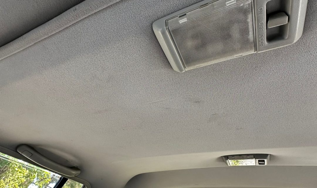 Imagen de WhatsApp 2024-06-29 a las 13.42.00_e3a765f3