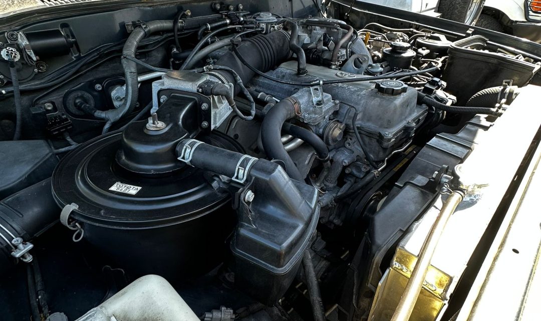 Imagen de WhatsApp 2024-06-29 a las 13.42.02_e54c8016